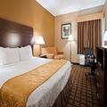 Photo of Best Western Plaza Hotel Saugatuck