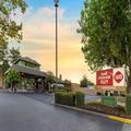 Image of Best Western Plus Forest Park Inn