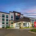 Image of Best Western Plus McAllen Airport Hotel