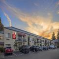 Exterior of Best Western Plus Plaza by the Green