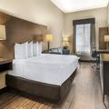 Image of Best Western Plus Saint John Hotel & Suites
