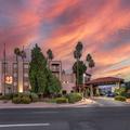 Photo of Best Western Plus Scottsdale Thunderbird Suites