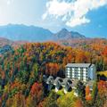 Photo of Bluegreen Vacations Mountain Loft Ascend Resort Collection