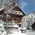 Exterior of Boutique Hotel Alpenrose
