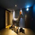 Photo of Boutique Hotel Lacky