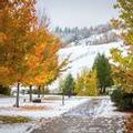 Image of Calabogie Peaks Hotel Ascend Hotel Collection