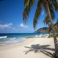 Photo of Carambola Beach Resort St. Croix, US Virgin Islands