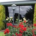Image of Cedar Lodge Motel Morwell