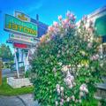Exterior of Claddagh Motel & Suites