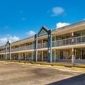 Image of Clarion Inn & Suites Florence - Darlington