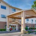 Image of Comfort Inn Auburn Seattle