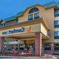 Image of Comfort Inn Near Greenfield Village