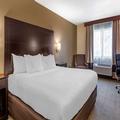 Image of Comfort Inn & Suite Paw Paw