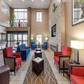Image of Comfort Inn & Suites Canton Riverstone Area