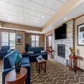 Image of Comfort Inn & Suites Carbondale University Area