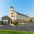 Image of Comfort Inn & Suites Market - Airport
