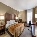 Photo of Comfort Inn Walcott near Davenport