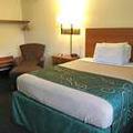 Photo of Comfort Motel