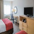 Photo of Comfort Suites Crossville