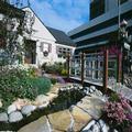 Image of Copper Whale Inn