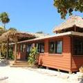 Image of Coral Beach Village