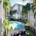 Photo of Coral Reef at Key Biscayne