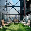 Image of Courtyard Mexico City Toreo