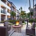 Image of Courtyard St. Petersburg Clearwater