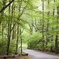 Exterior of Dancing Bear Lodge