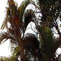 Photo of Deja View Exclusive Guest House
