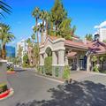Image of Desert Rose Resort