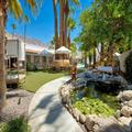Image of Dive Palm Springs