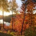 Photo of Domaine Baie Mud