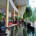 Photo of DoubleTree by Hilton Washington Dulles Airport