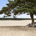 Image of Doubletree by Hilton Royal Parc Soestduinen