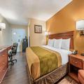 Image of Econo Lodge Louisville Downtown