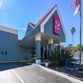 Image of Econo Lodge Tampa near Busch Gardens