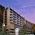 Image of Edgewater Hotel - Gatlinburg