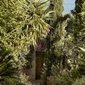 Image of F ZEEN KEFALONIA - Adults Only