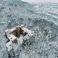 Photo of FOREST HOTEL