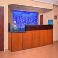 Image of Fairfield Inn & Suites Dulles Airport Chantilly