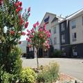 Photo of Fairfield Inn & Suites by Marriott Ukiah - Mendocino County