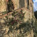 Photo of Fattoria Il Santo