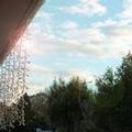 Photo of Ferry Motel