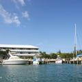 Photo of Flamingo Bay Hotel & Marina at Taino Beach
