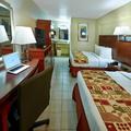 Photo of Flamingo Express Hotel