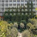 Image of Four Seasons Hotel Mexico City