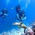 Photo of Furaveri Maldives
