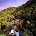 Image of Grand Mercure Puka Park Resort