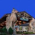 Photo of Great Wolf Lodge Grapevine